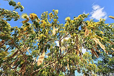 玩家用Mod重做《魔兽3重制版》 实现最初预告片效果